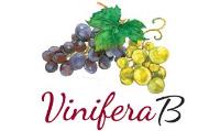 vinifera