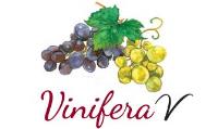 viniferav